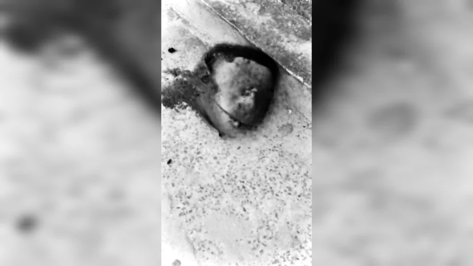 Cabeça encontrada no rip rap do Campo Sales