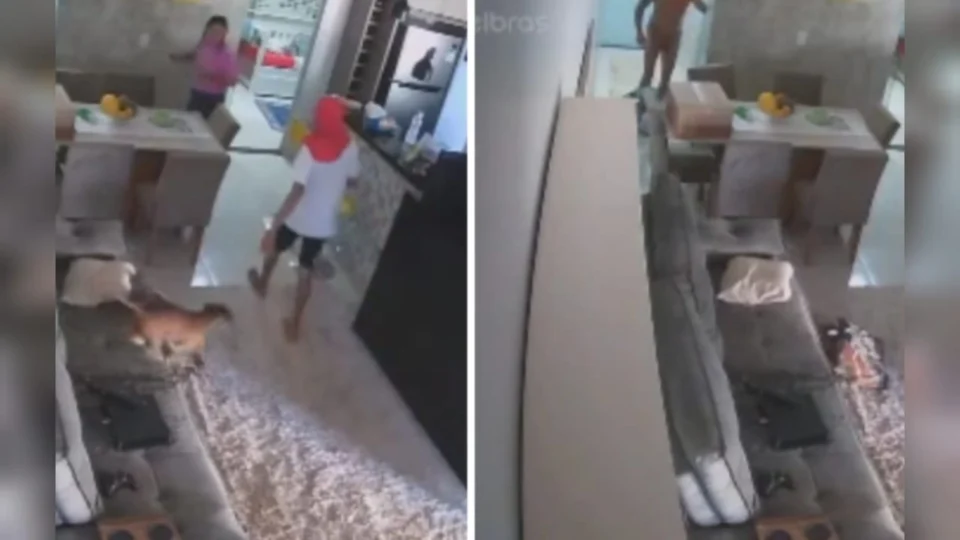 Mulher planeja a execução do marido mas esquece de desligar as câmeras da casa; Veja vídeo