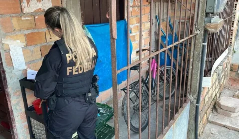 Homem é preso ao ser flagrado com pornografia infantojuvenil