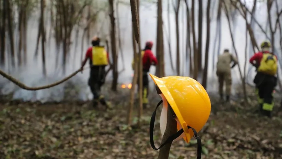 Incêndio de grandes dimensões devasta a floresta em Iranduba, Amazonas; Veja vídeo