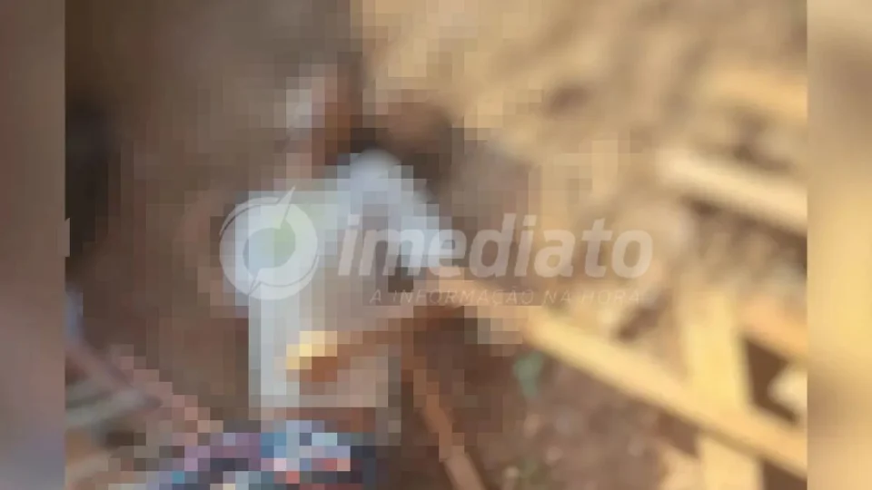 Corpo de homem é encontrado em serraria em Santarém