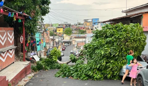 Vendaval derruba tronco de árvore sobre veículo e bloqueia rua em Manaus