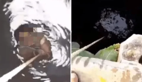 Veja Vídeo: Marido joga esposa grávida dentro de poço e exige R$ 30 mil a família para retirá-la