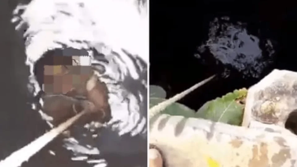 Veja Vídeo: Marido joga esposa grávida dentro de poço e exige R$ 30 mil a família para retirá-la