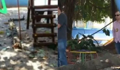 Criança é atingida por galho de árvore e morre em parquinho de escola