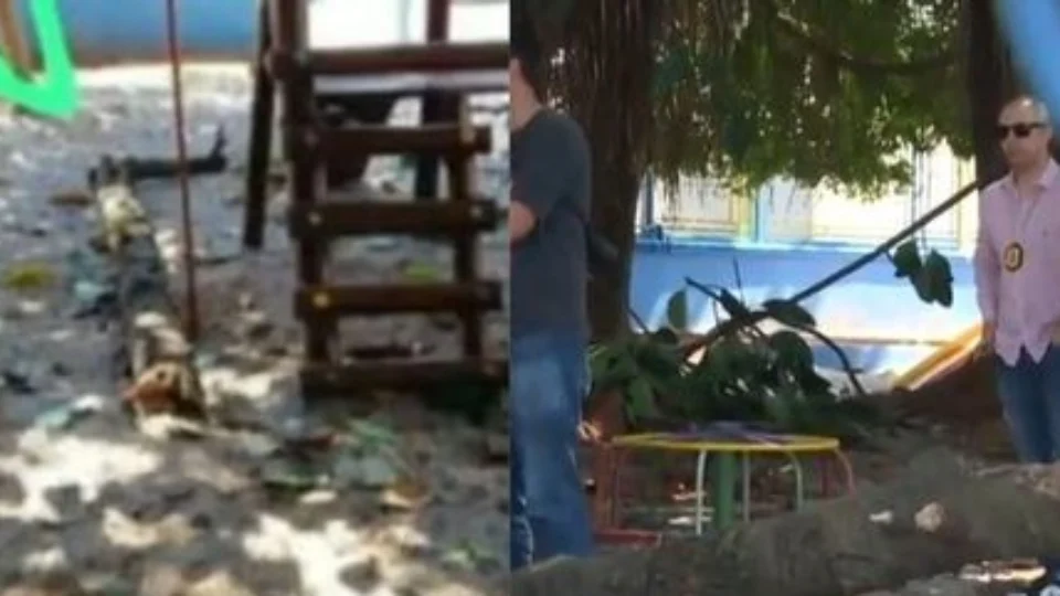 Criança é atingida por galho de árvore e morre em parquinho de escola