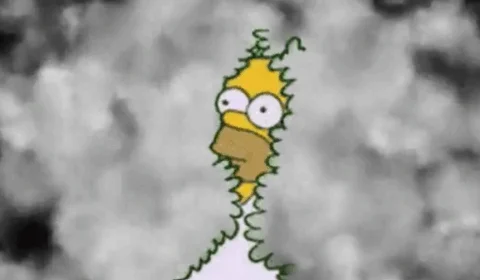 Falta de visibilidade em Manaus faz Eclipse virar meme nas redes sociais