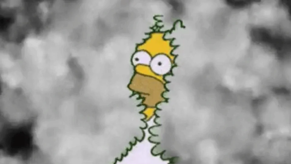 Falta de visibilidade em Manaus faz Eclipse virar meme nas redes sociais