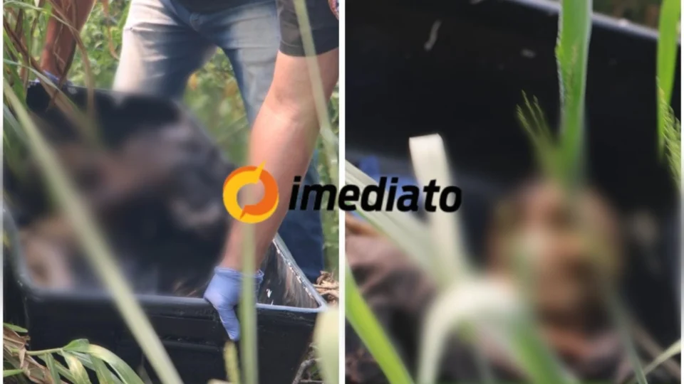 Ossada humana é encontrada por populares próximo a campo no bairro Japiim