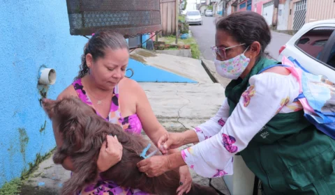 Vacinação contra raiva: Amazonas segue em campanha para prevenção da doença em cães e gatos