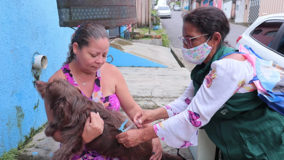 Vacinação contra raiva: Amazonas segue em campanha para prevenção da doença em cães e gatos