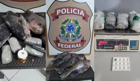 Polícia Federal encontra tambaqui recheado de cocaína no Amazonas; Veja vídeo