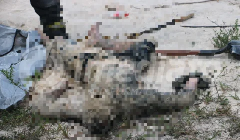 Vídeo: Cadáver é retirado de cova na colônia Terra Nova