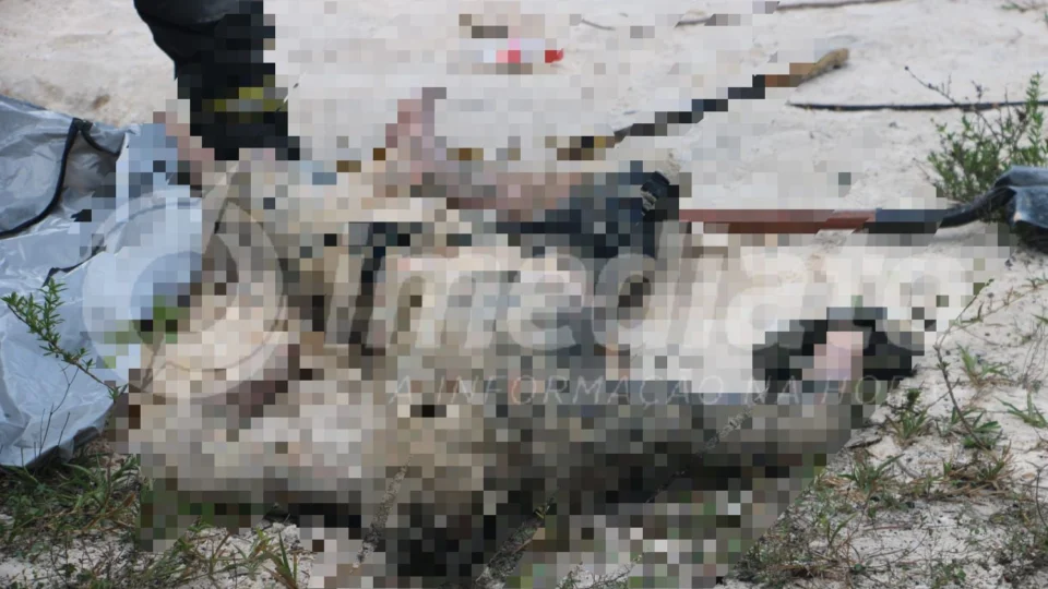 Vídeo: Cadáver é retirado de cova na colônia Terra Nova