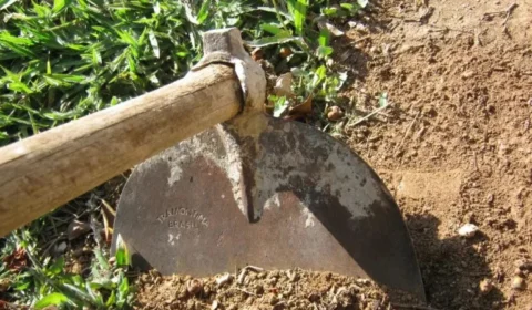 Mulher tenta matar marido com enxada após suspeitar de traição, no Amazonas