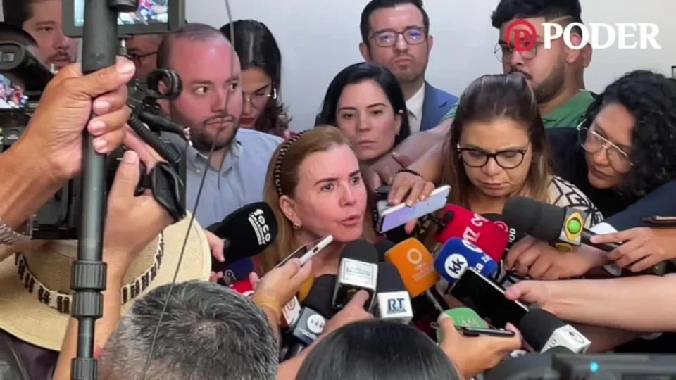 Presidente eleita do TCE-AM denuncia conselheiro após injúrias; ‘Fui chamada de safada, pu** e vadia em plenário’, diz Yara Lins