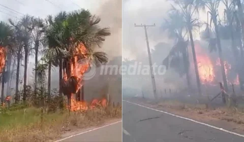Vídeo: Comunidade São José em Careiro enfrenta incêndio e clama por assistência das autoridades
