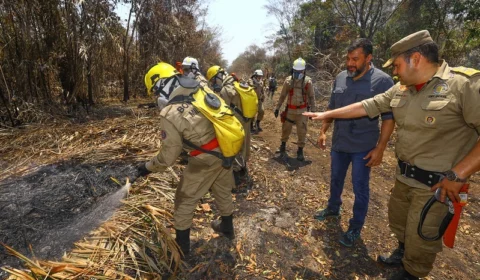 Cerca de 2 mil focos de incêndio foram registrados em menos de três meses no Amazonas