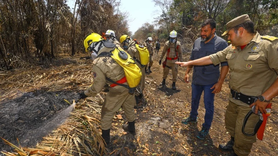 Cerca de 2 mil focos de incêndio foram registrados em menos de três meses no Amazonas