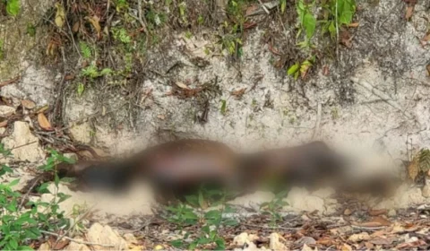 Corpo em estado de decomposição é encontrado  sem uma das mãos na Cidade de Deus