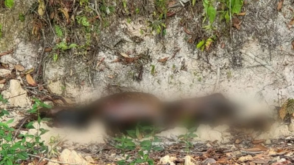 Corpo em estado de decomposição é encontrado  sem uma das mãos na Cidade de Deus