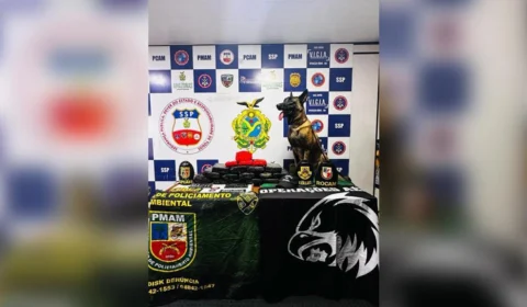 Polícia Militar do Amazonas apreende 20 quilos de drogas em Coari
