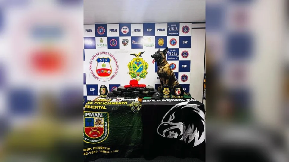 Polícia Militar do Amazonas apreende 20 quilos de drogas em Coari