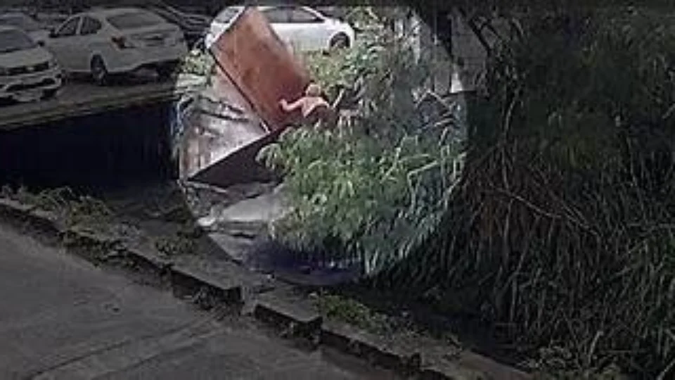 VÍDEO: Idosa é arrastada por correnteza após desabamento de casa durante forte chuva no RJ