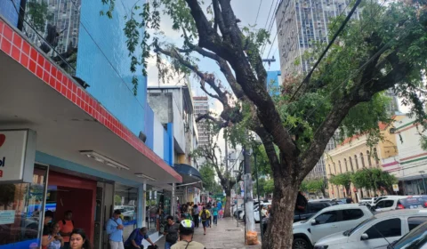 Amazonas energia corta árvores no centro de Manaus e população reclama do forte calor