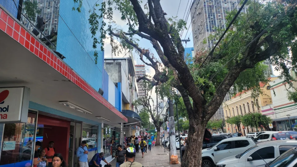 Amazonas energia corta árvores no centro de Manaus e população reclama do forte calor