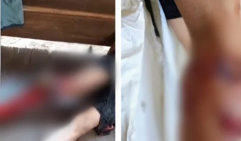 VEJA VÍDEO: jacaré ataca e quase arranca perna de homem no interior do Amazonas