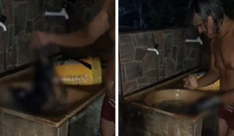 CHOCANTE: ex-vereador afoga, bate e mata cachorro; veja vídeo