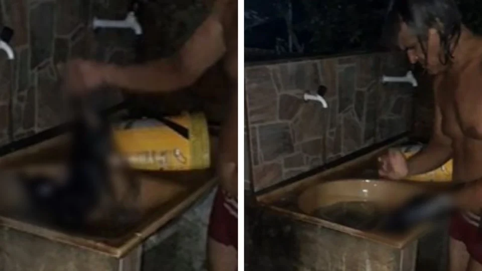 CHOCANTE: ex-vereador afoga, bate e mata cachorro; veja vídeo