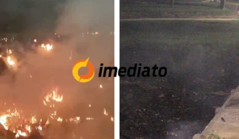 Veja Vídeos: Incêndio de grandes proporções atinge área de mata no Centro de Manaus