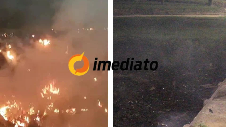 Veja Vídeos: Incêndio de grandes proporções atinge área de mata no Centro de Manaus