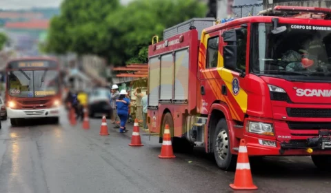 Árvore tomba durante temporal e deixa moradores sem energia no Armando Mendes