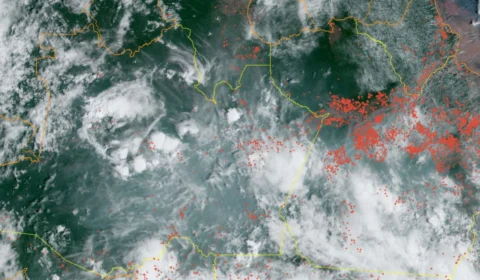 Queimadas no Pará são as causas da péssima qualidade no ar do Amazonas