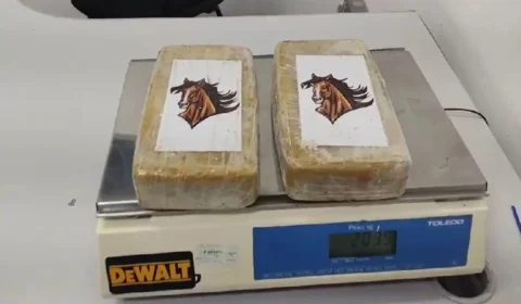 Fã falsa do RBD é presa com 2 kg de crack dentro de ônibus em rodovia de São Paulo