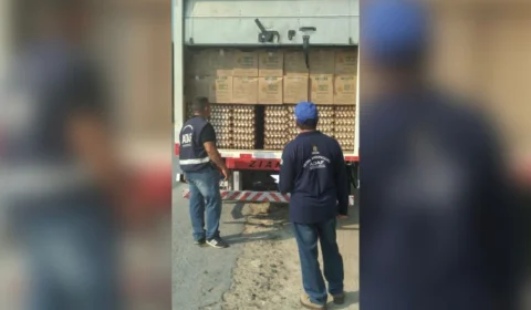 Adaf flagra transporte irregular de ovos e agrotóxicos na rodovia AM-010