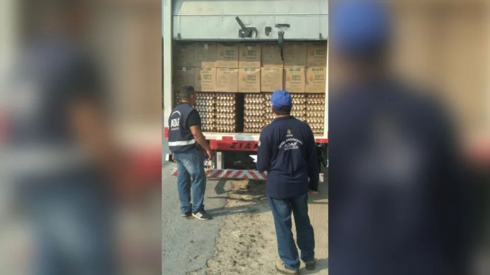 Adaf flagra transporte irregular de ovos e agrotóxicos na rodovia AM-010