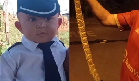 Menino de 2 anos morre após ser picado por cascavel em São Paulo