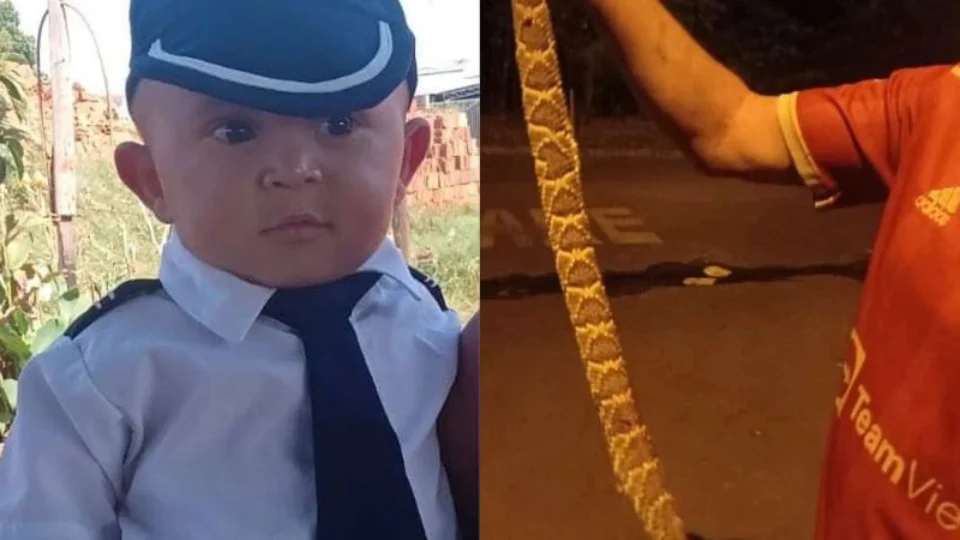 Menino de 2 anos morre após ser picado por cascavel em São Paulo