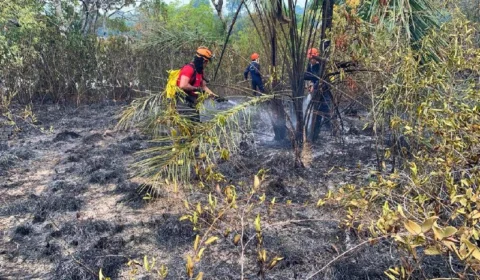 Corpo de Bombeiros combate incêndio em área de difícil acesso em Parintins