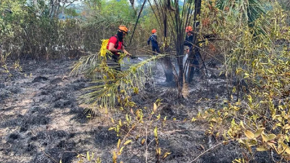 Corpo de Bombeiros combate incêndio em área de difícil acesso em Parintins