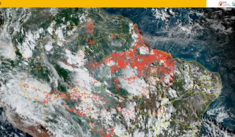 Imagens de satélites do Inpe mostram que queimadas do oeste do Pará são responsáveis por fumaça que atinge capital do Amazonas
