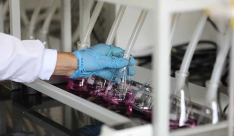 Pesquisa apoiada pelo Governo do Amazonas analisa a qualidade das águas em Manaus