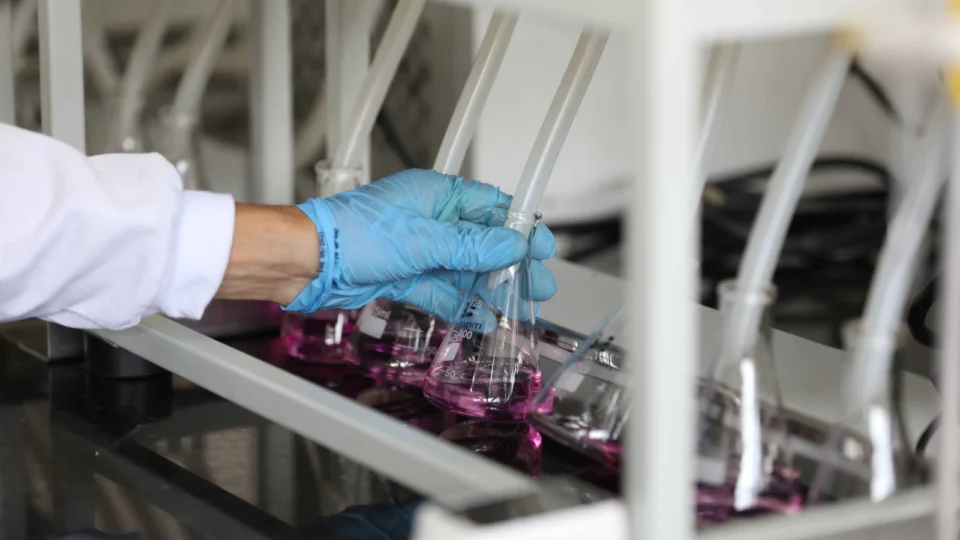 Pesquisa apoiada pelo Governo do Amazonas analisa a qualidade das águas em Manaus