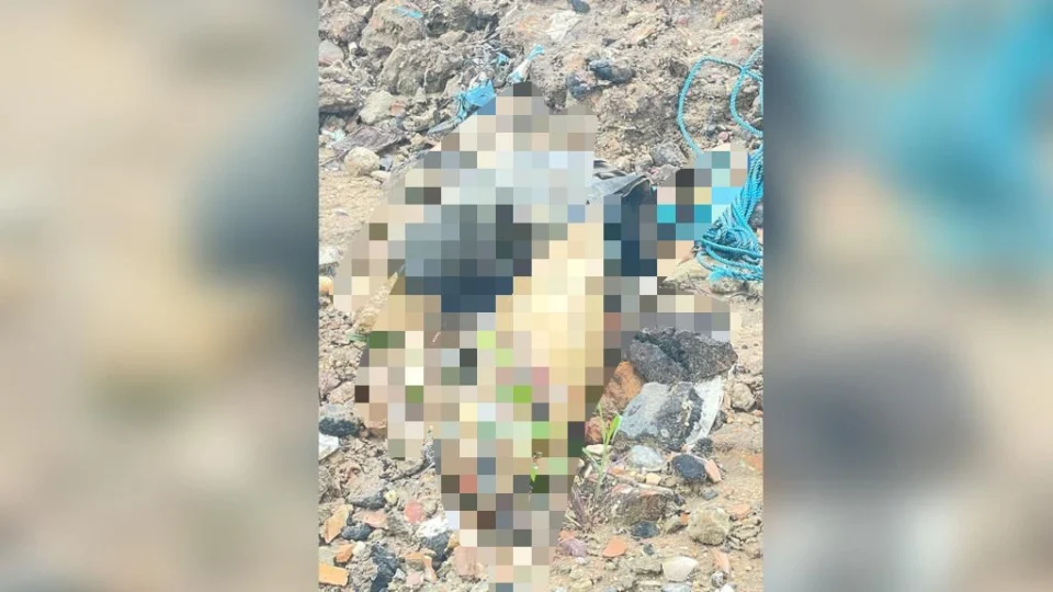 Restos de corpo comido por animais é encontrado em porto no Educandos
