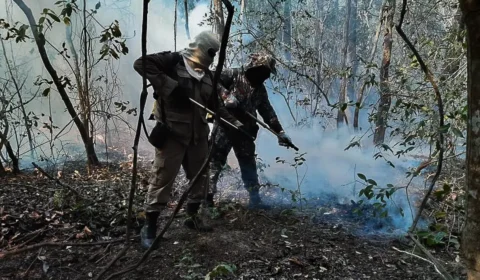 Dois estados decretam emergência em razão de incêndios no Pantanal