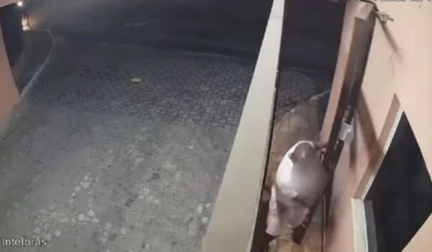 VEJA VÍDEO: homem é perseguido, tenta entrar em condomínio e é executado